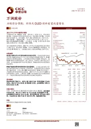 业绩符合预期， 环保及OLED材料有望放量增长