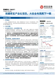 投建研发产业化项目，大安全布局再下一棋