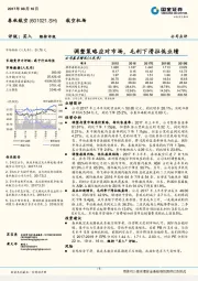 调整策略应对市场,毛利下滑拉低业绩