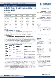 业绩符合预期，国内国外板块双轮驱动，业绩持续快速增长