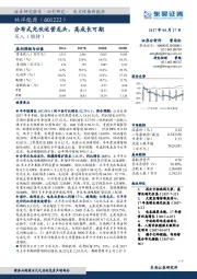 分布式光伏运营龙头，高成长可期