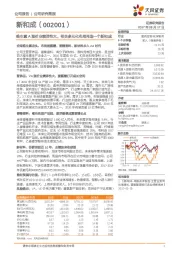 维生素A涨价业绩弹性大，相关多元化布局再造一个新和成