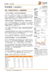 正极、负极材料全球龙头，业绩高速增长