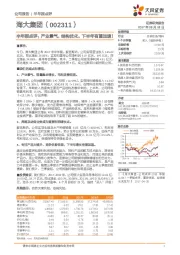 半年报点评:产业景气,结构优化,下半年有望加速!