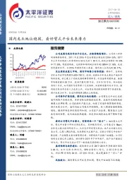 国内龙头地位稳固，看好臂式平台未来潜力