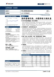 2017年半年报点评：染料量增价涨，业绩持续大幅改善