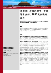 拓尔思：净利润扭亏，营收增长良好，NLP龙头逐渐发力