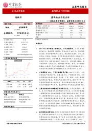 晨鸣纸业中报点评：造纸业务强势增长，融资租赁业务潜力巨大