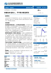 新疆安防高投入，半年报业绩高增长