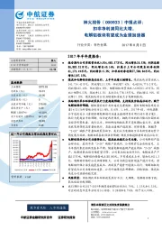 中报点评：扣非净利润同比大增，电解铝板块有望成为业绩加速器