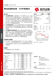 原料波动影响业绩，下半年有望回升