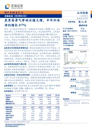 炭黑高景气带动业绩大增，半年归母净利增长477%