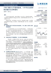 17H1延续16年亮丽表现，下半年关注原材料价格对毛利率影响