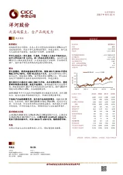 次高端霸主,全产品线发力