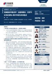 杭锅股份中报点评：业绩高增长，天然气分布式发电+海外市场为未来看点