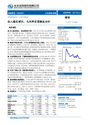 收入稳定增长，毛利率有望触底回升