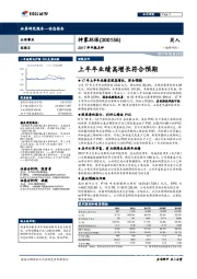 2017年中报点评：上半年业绩高增长符合预期