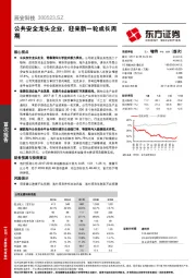 公共安全龙头企业，迎来新一轮成长周期