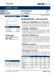 2017年半年报点评：装饰板材增长强劲，看好未来成长性