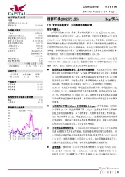 17H1营收实现高增长，毛利率降低拖累业绩