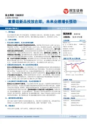 重量级新品投放在即，未来业绩增长强劲