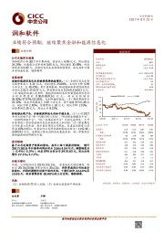 业绩符合预期，继续聚焦金融和能源信息化