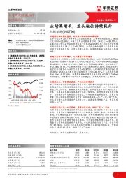 业绩高增长,龙头地位持续提升