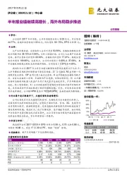 半年报业绩继续高增长，海外布局稳步推进