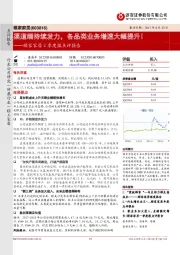 2季度报点评报告：渠道端持续发力，各品类业务增速大幅提升！