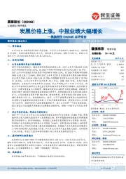 点评报告：炭黑价格上涨，中报业绩大幅增长