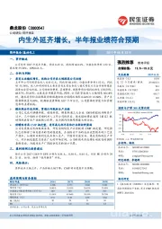 内生外延齐增长，半年报业绩符合预期