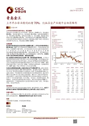 上半年扣非业绩同比增70%，化妆品全产业链平台初具雏形