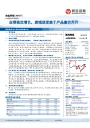 业绩稳定增长,雅城或受益于产品量价齐升