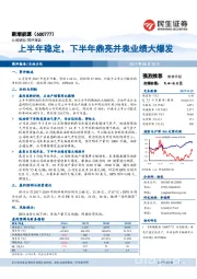 上半年稳定，下半年鼎亮并表业绩大爆发