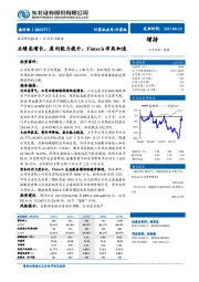 业绩高增长，盈利能力提升，Fintech布局加速