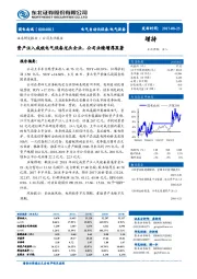 资产注入成就电气设备龙头企业，公司业绩增厚显著