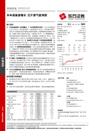 半年报高速增长 芯片景气度持续