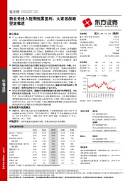 新业务投入短期拖累盈利，大家居战略坚定推进