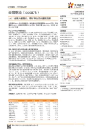 1H17业绩大幅增长，铜矿弹性龙头重新启航