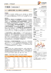 1H17业绩符合预期 自主共振助力业绩再提升