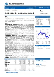 毛利率大幅下滑，政府补助提升公司业绩