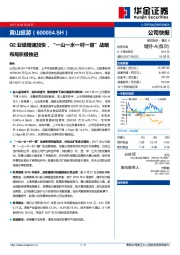 Q2业绩增速加快，“一山一水一村一窟”战略布局积极推进