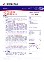 上半年为业绩低谷 全年持续增长仍可期