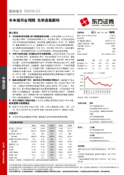 半年报符合预期 光学进展顺利