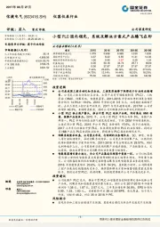 小型PLC国内领先，系统及解决方案式产品腾飞在即