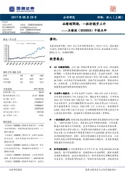 中报点评:业绩超预期,一批价稳步上升