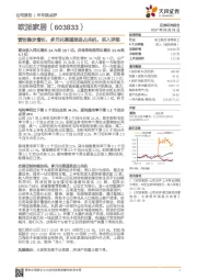 营收稳步增长，多元化渠道推进占先机，买入评级