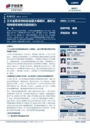 三大业务支柱拉动业绩大幅增长，看好公司持续布局和兑现的能力