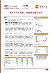 原料药高速增长,新药研发稳步推进