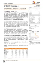 三大业务持续增长，新能源汽车业务将加速发展